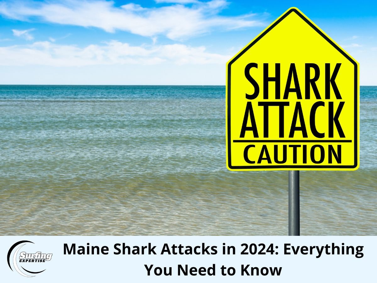 Maine shark attacks